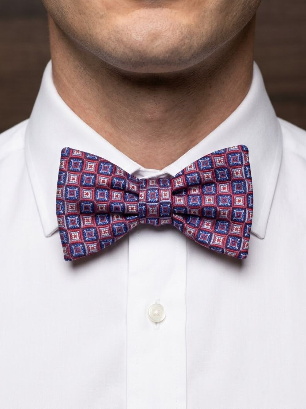 NWT Daniel Cremieux red blue white geometric medallion silk bow tie